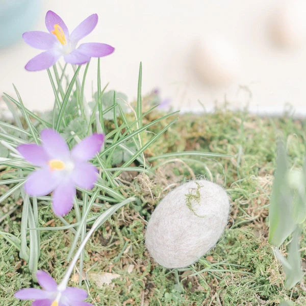 Kreative DIY-Sets mit natürlichen Materialien für einzigartige Bastelprojekte.