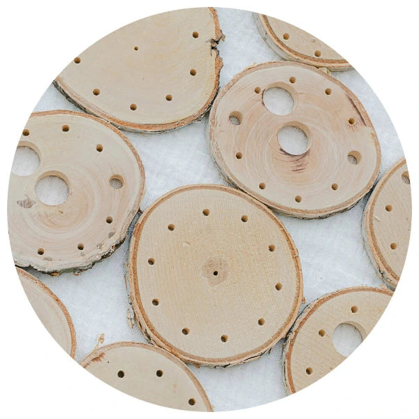 Jahreszeitenlaterne von Leneken – Ein DIY-Set für Herbst- und Winterdeko aus natürlichen Materialien, plastikfrei und umweltfreundlich.